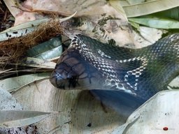 Tiergarten Schönbrunn am 23.03.2023